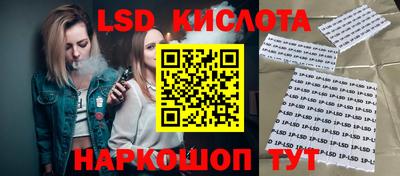 прущие грибы Краснодар