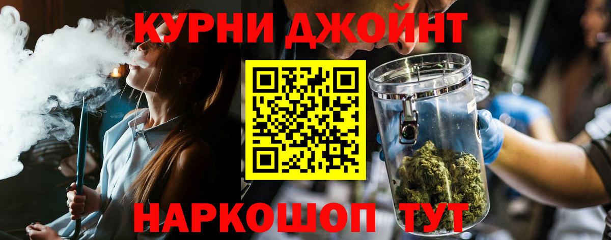Конопля гибрид Югорск